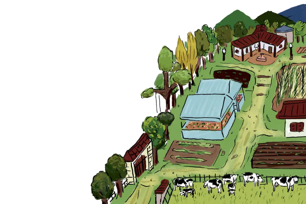 8 consejos para sacarle el mayor provecho a su finca Sacarle provecho a su finca