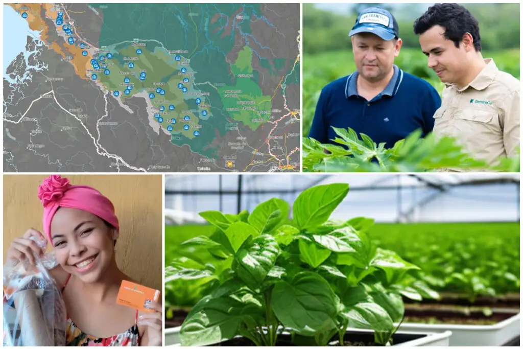 proyectos colombianos, innovadores, HZero, Hambre Cero