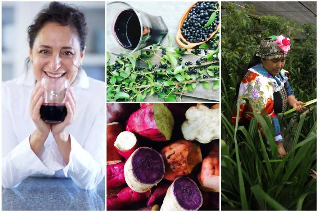 Conozca los superalimentos que llegan de chile Conozca los superalimentos que llegan de chile