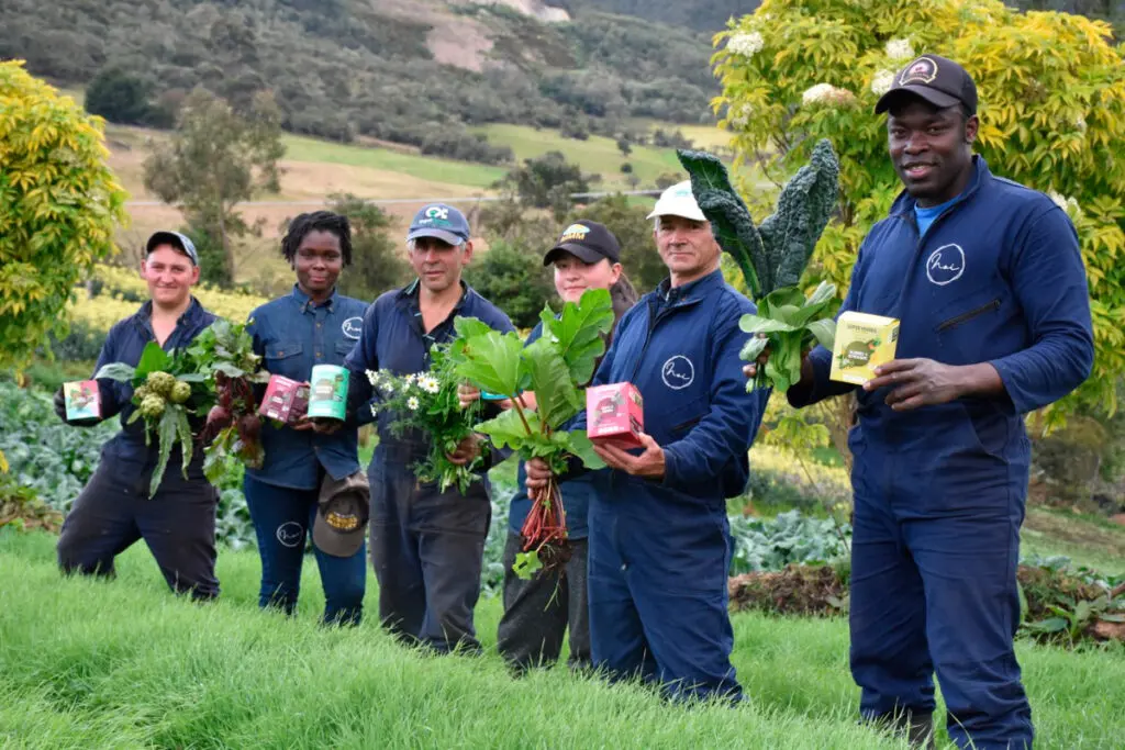 Noi orgánicos, los vegetales y hierbas pulverizadas que duran más de un año Noi orgánicos