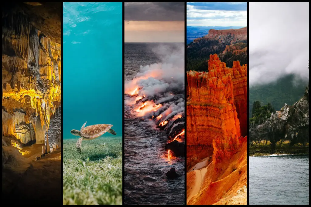 Cinco parques de estados unidos para visitar con google arts & culture Exploracion