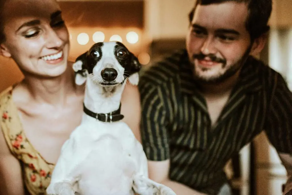 Cinco beneficios de hablar con su perro Hablar con su perro, perros