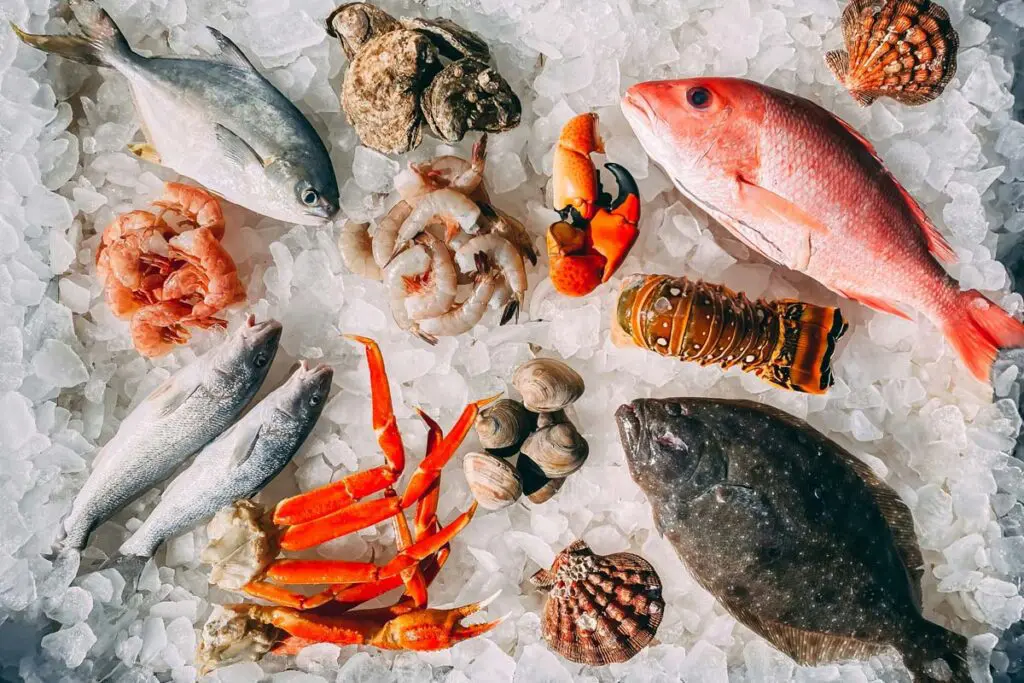 Pescado fresco