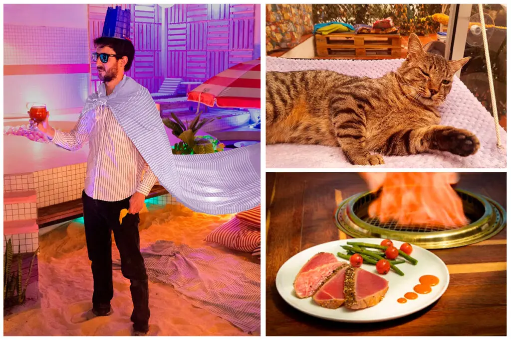 Un café de gatos y otros dos planes para divertirse en bogotá Planes para divertirse en bogotá