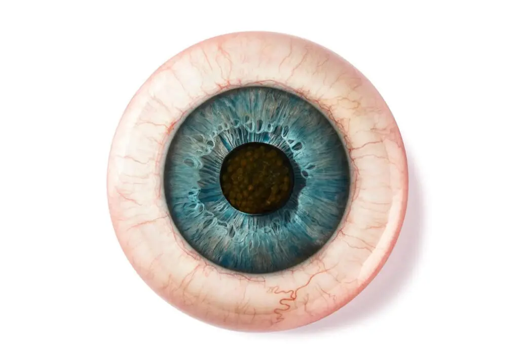 Restaurantes de europa