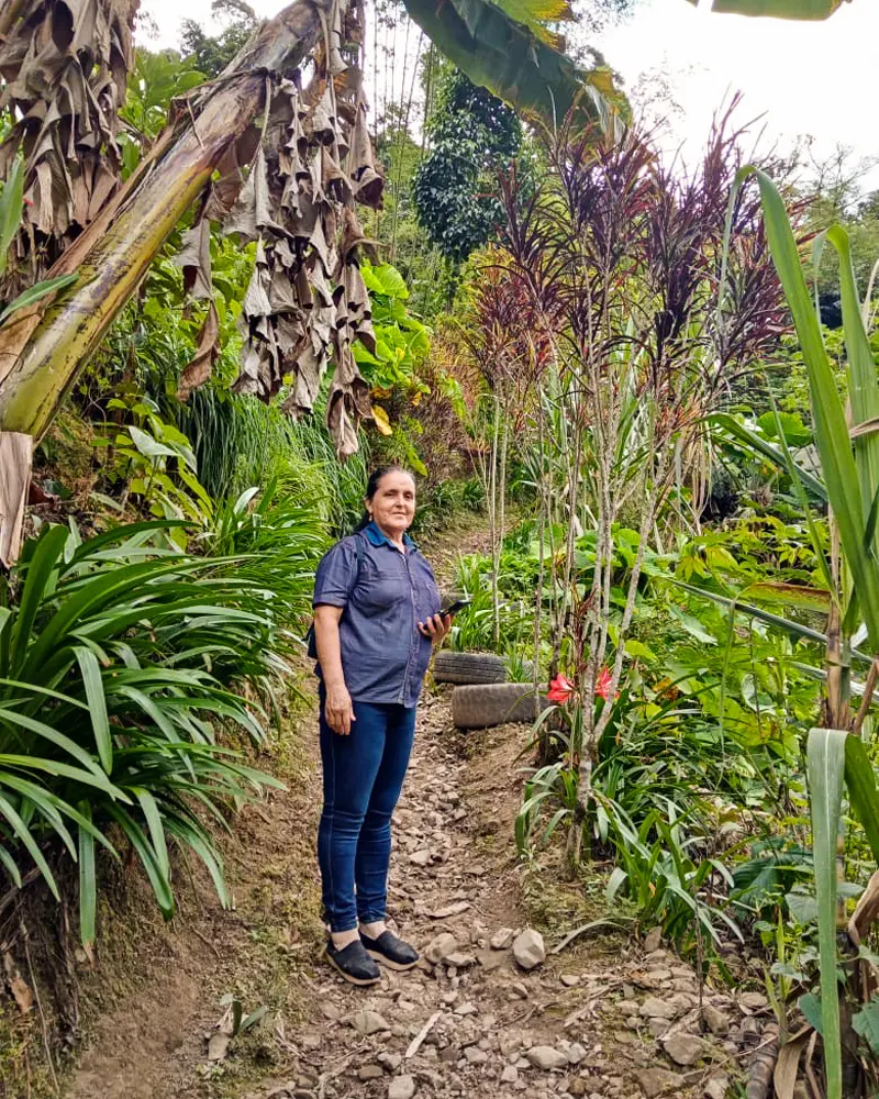 tostador, Jorge Eslava,