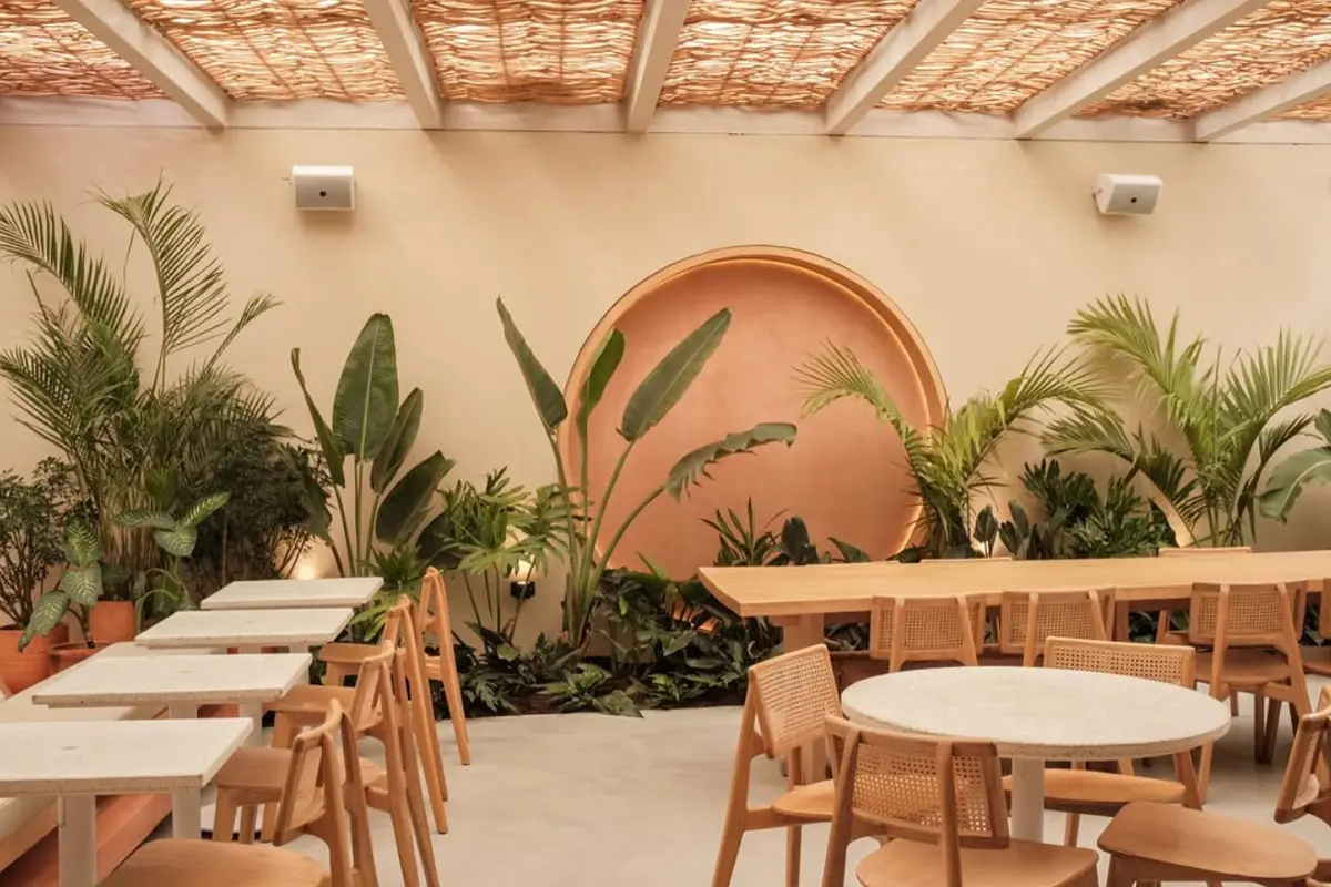 Tropicália Coffee, tiendas de café