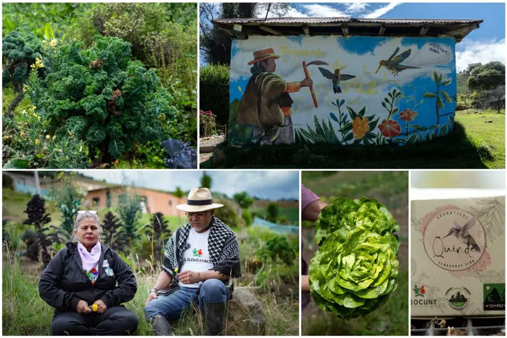 Usme, granja tibares