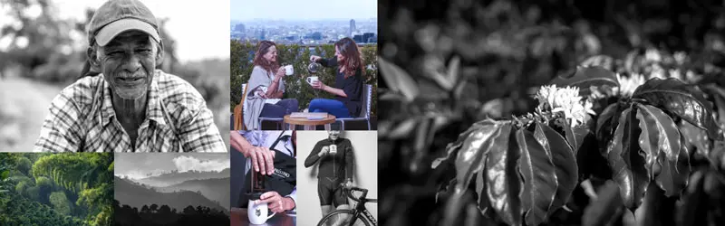 El Prístino: un café colombiano con notas de chocolatina y naranja El Prístino