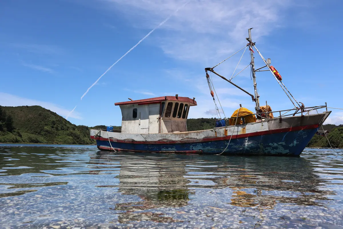 Puerto montt
