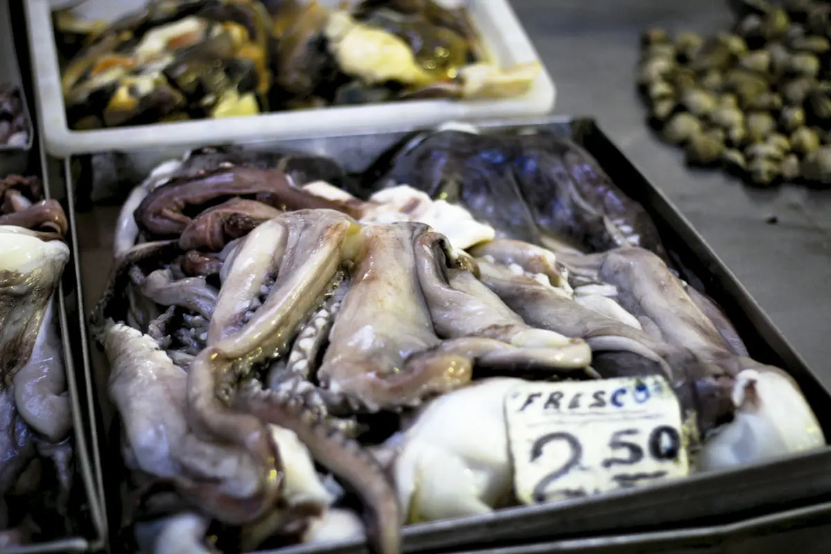 Lujo, placer y aventura en Panamá, un destino para redescubrir