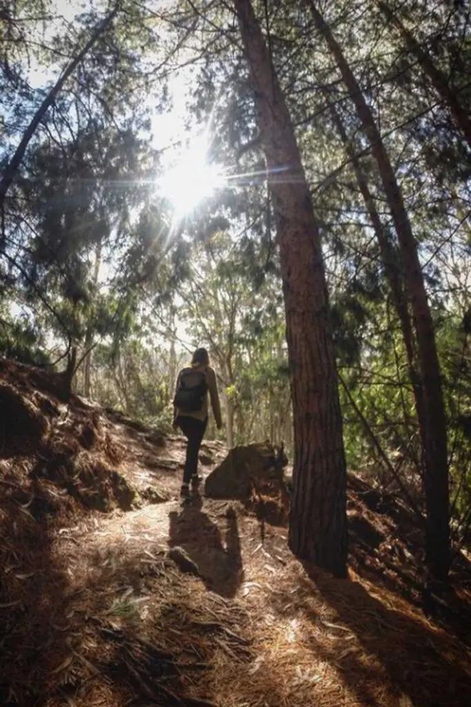 Ocho rutas para hacer senderismo alrededor de Bogotá