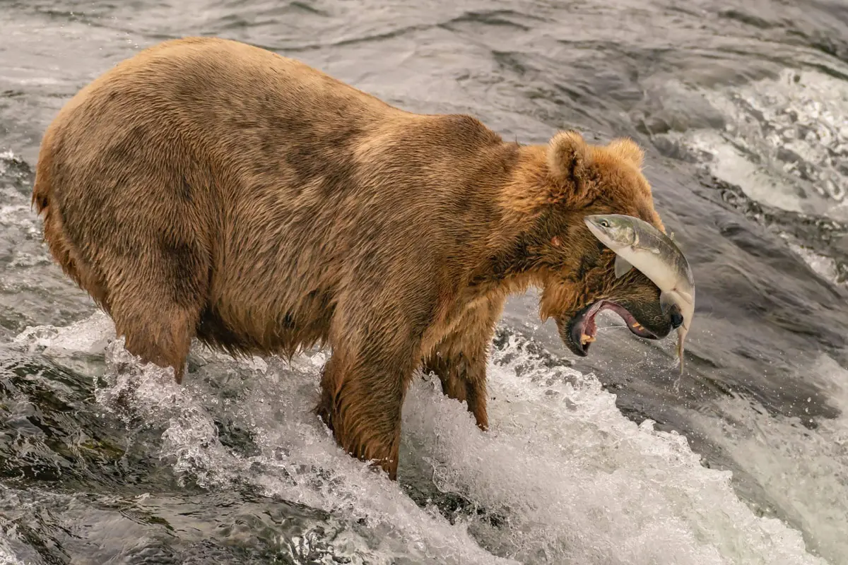 Vea las fotos ganadoras del national geographic traveler 2019