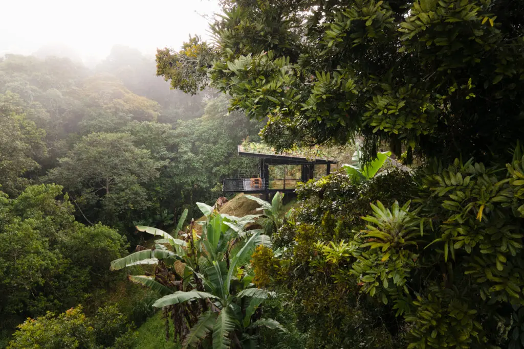 De montañas, aves y café: razones para enamorarse del quindío