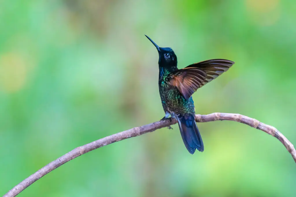 Colombia: 5 destinos por descubrir según fotógrafos de viajes Reserva natural río ñambí