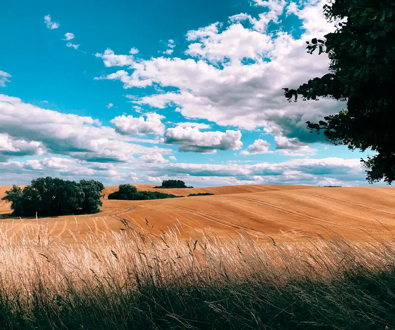 Estas son las mejores fotos tomadas con iPhone Estas son las mejores fotos tomadas con iPhone