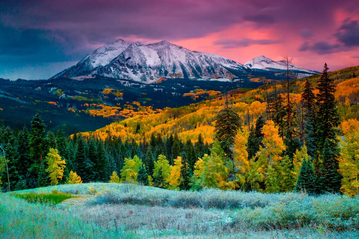 Cinco parques para conocer en su próximo viaje a estados unidos