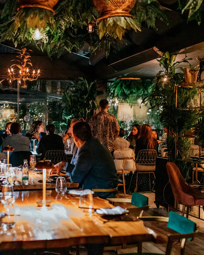 Salvaje: fuego, sushi y cocina japonesa de autor en bogotá Salvaje