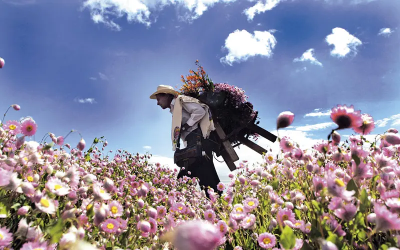 lugares más hermosos de Colombia