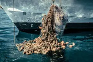 Seaspiracy: lo que debe saber sobre el documental del que todos hablan