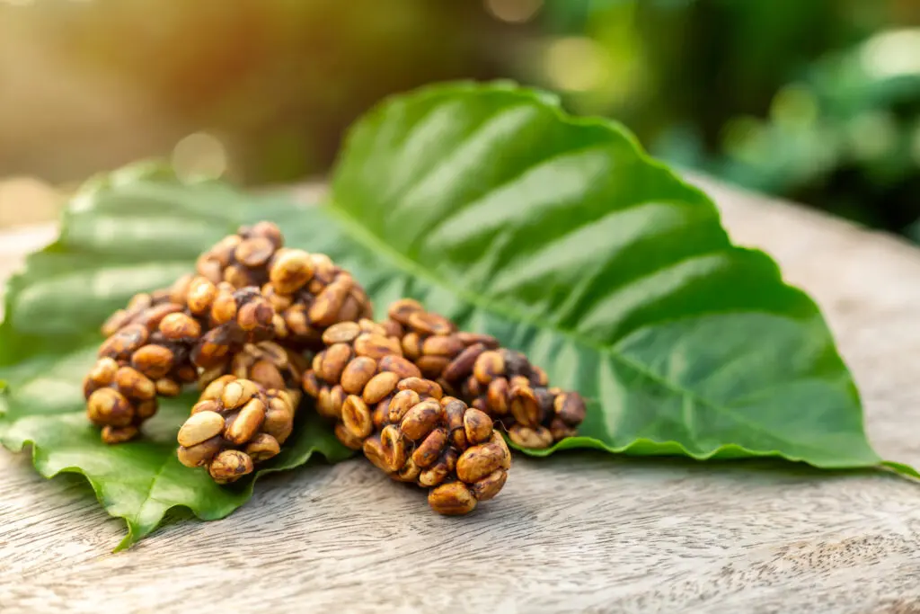 El caviar africano y otros alimentos con costos inimaginables