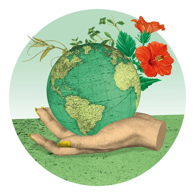 ¿Cuánto cuesta llevar una vida sostenible? Consejos financieros para lograrlo