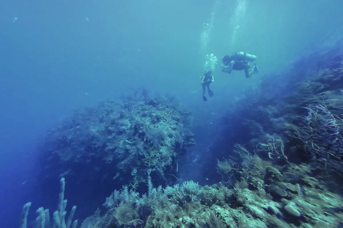 Un recorrido virtual por 5 increíbles parques naturales de Colombia