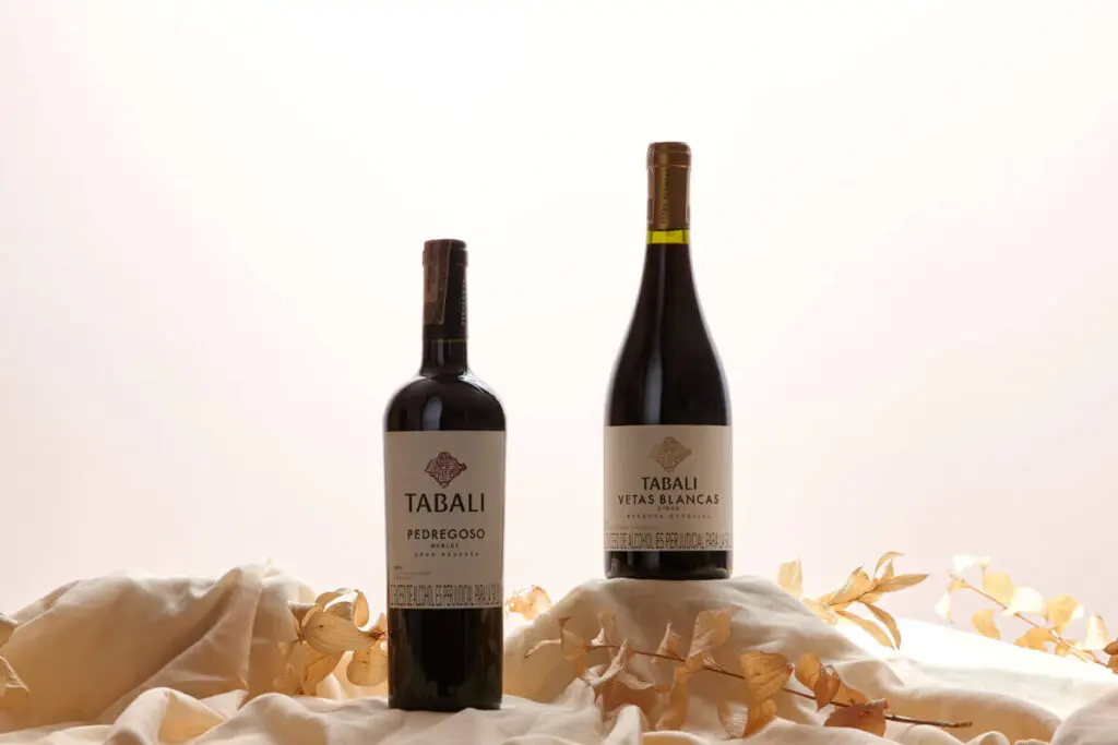 6 vinos chilenos y argentinos para cada ocasión