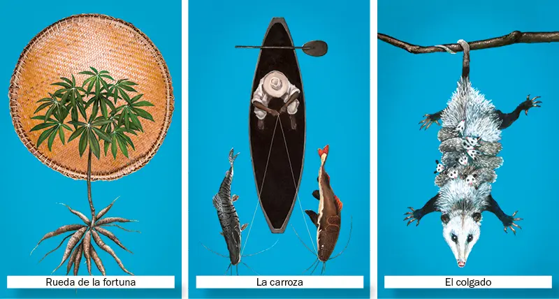 Los tres arcanos mayores: el tarot de la biodiversidad en el Instituto Humboldt Los tres arcanos mayores: el tarot de la biodiversidad en el Instituto Humboldt