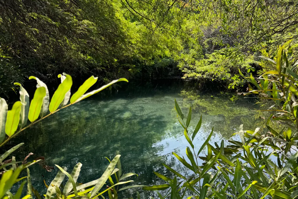 Tres experiencias relajantes en santa marta