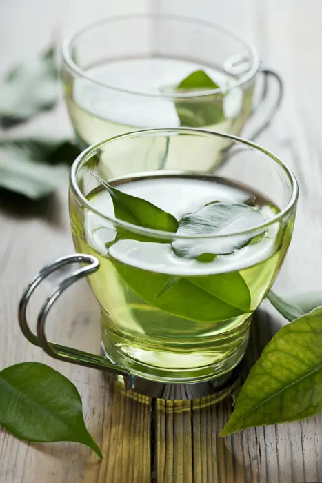 ¿sabe reconocer el té por sus hojas? Tes2_467x700