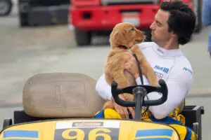 Película: mi amigo enzo, la historia de un perro y su amor incondicional Mi amigo enzo