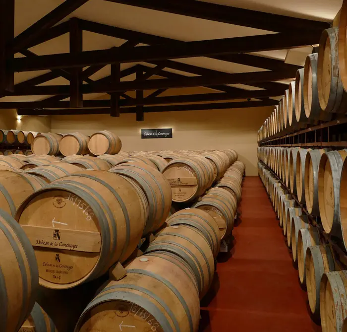 La Ribera del Duero, un tesoro bien guardado