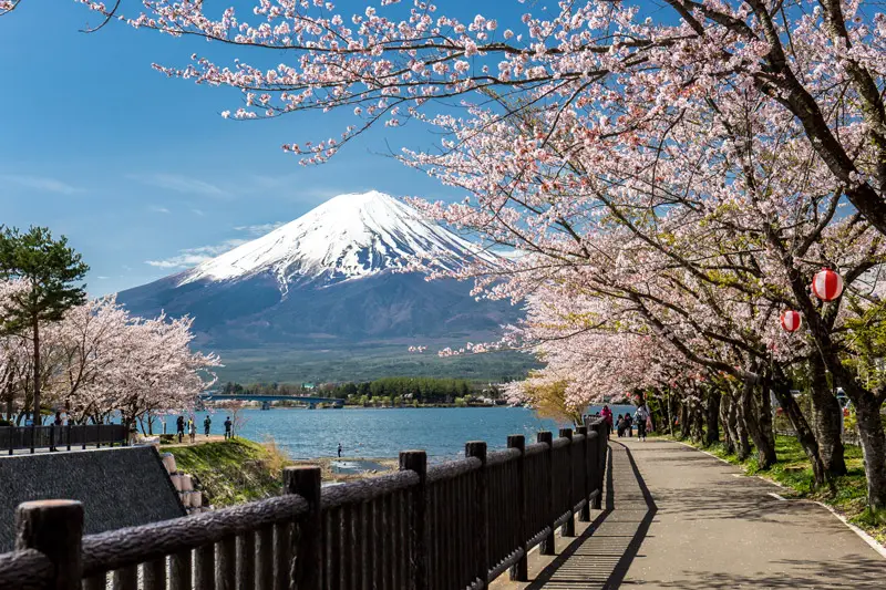 Destino de vacaciones: tokio, una ciudad entre el frenetismo y el silencio