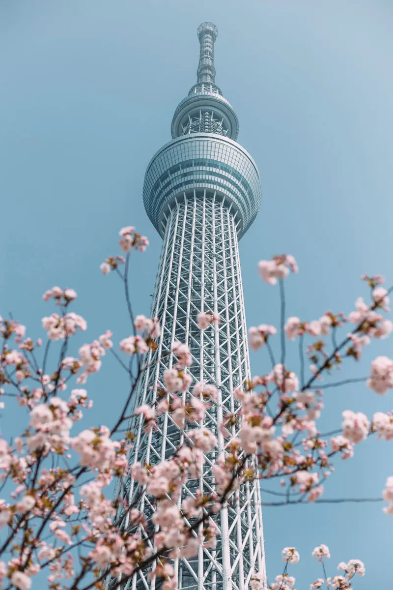 Destino de vacaciones: tokio, una ciudad entre el frenetismo y el silencio