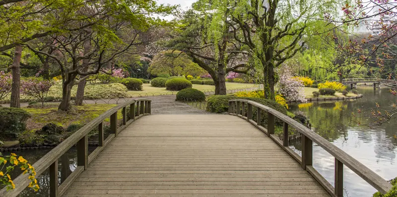 Destino de vacaciones: tokio, una ciudad entre el frenetismo y el silencio