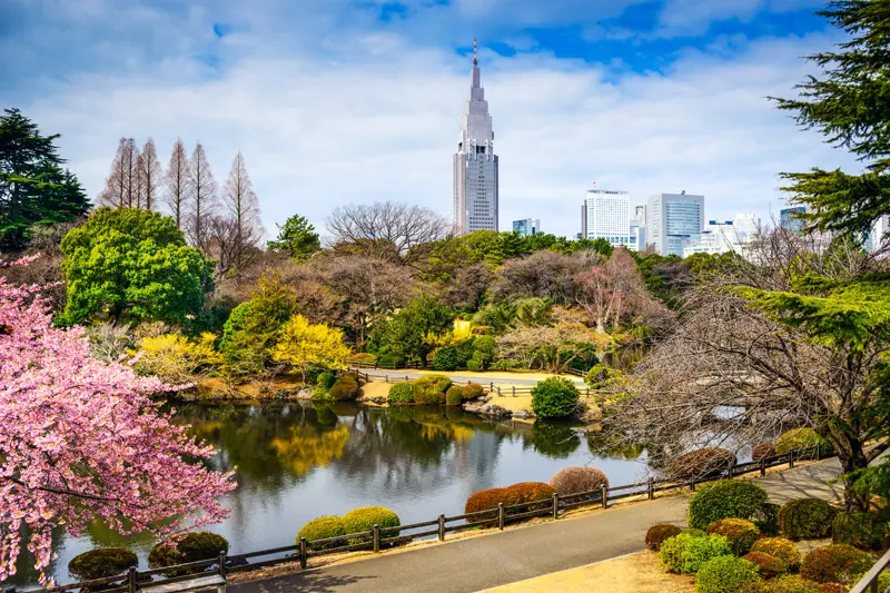 Destino de vacaciones: tokio, una ciudad entre el frenetismo y el silencio