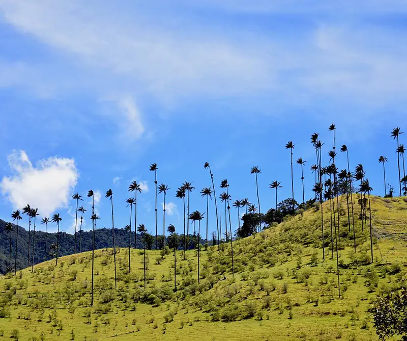 Vea los mejores 5 destinos para hacer ‘slow travel’ en Colombia