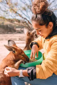 Angélica ladino, la colombiana que recorre australia en una pequeña van