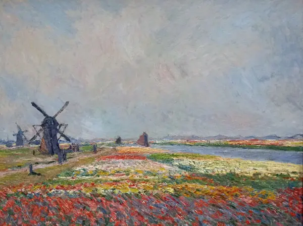 Vangogh2_800x669