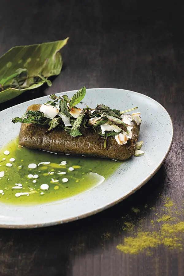 La hoja de coca tan andina como la papa Tamal vegano álvaro clavijo