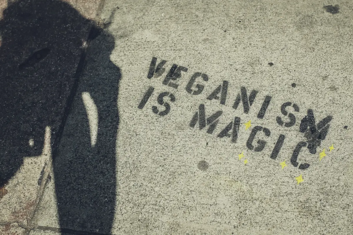 Vestir vegano sí es posible: le contamos cómo puede hacerlo