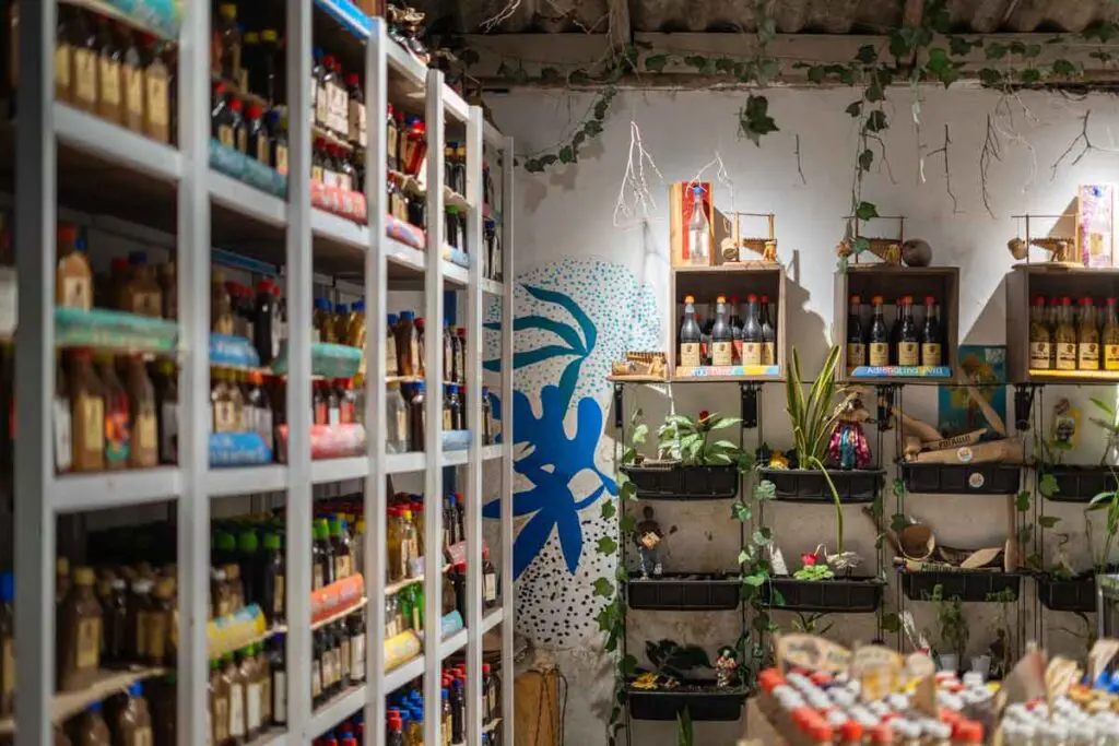 Descubra juanchaco: ballenas, manglares y la lluvia incesante del pacífico colombiano