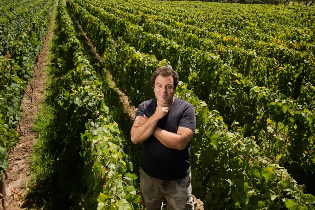 Cuatro bodegas en el sur para amantes del vino