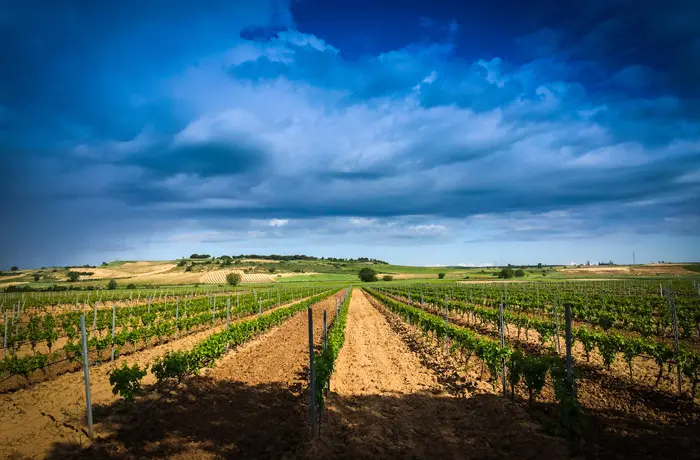La Ribera del Duero, un tesoro bien guardado