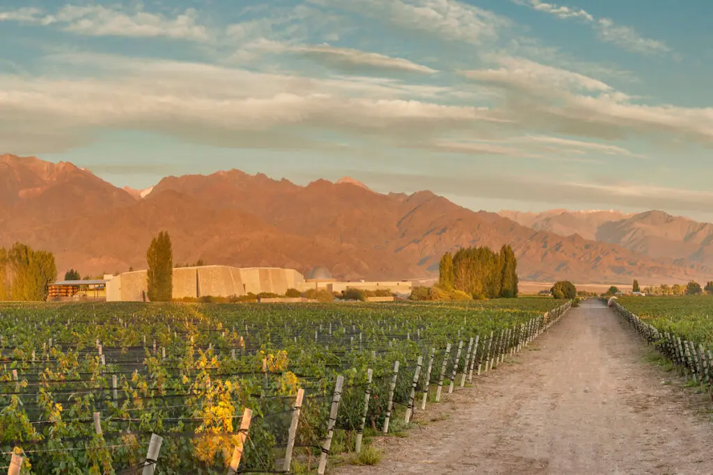 Cuatro bodegas en el sur para amantes del vino