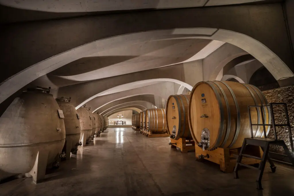 Cuatro bodegas en el sur para amantes del vino