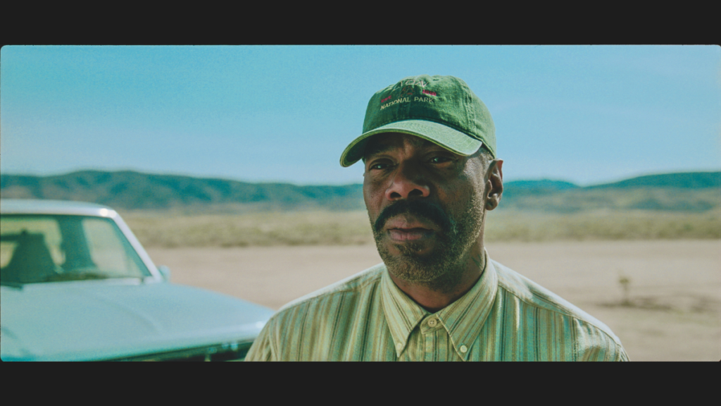 Estrenos en streaming recomendados por Diners: del suspenso de Scarpetta al regreso de Peaky Blinders