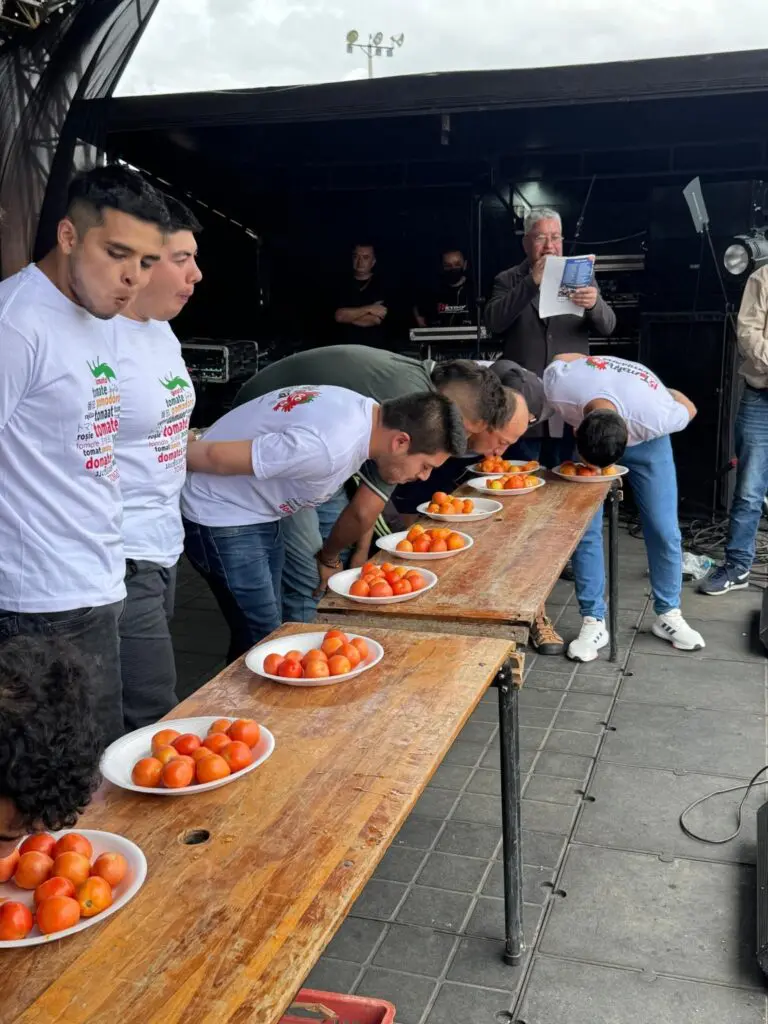La gran tomatina colombiana se viste del mundial y espera 20. 000 visitantes en boyacá Tomatina