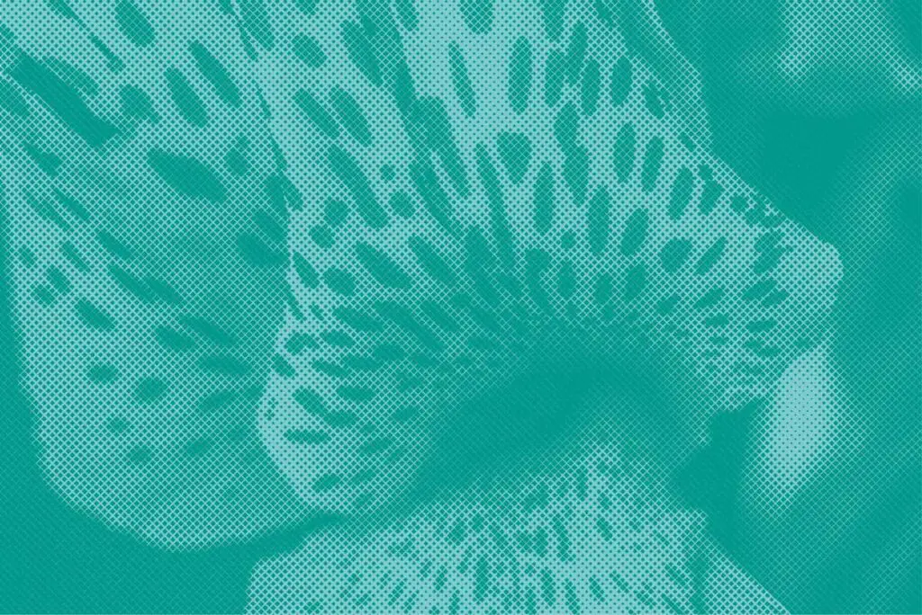 Fin de semana artbo 2026